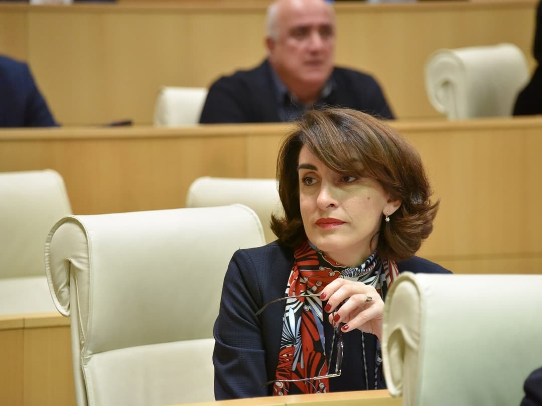 მაკა ბოჭორიშვილი – არის ეჭვი, რომ მათ არ აქვთ სათანადო ინფორმაცია, ან ეს არის გარკვეული ინტერესი