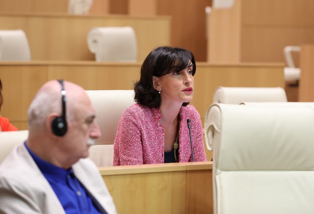 მაკა ბოჭორიშვილი – რასაც ეს ადამიანები აკეთებენ არის თვითლუსტრაცია, საიდანაც კარგად ჩანს თუ როგორ უყურებენ ქვეყანას და ქვეყნის მომავალს