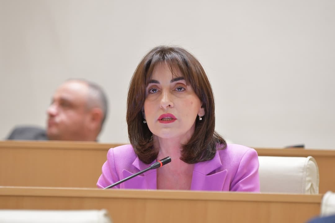 მაკა ბოჭორიშვილი – საქართველოს პარტნიორების მხრიდან გაბუტვა და მუქარები კი არა, სერიოზული დიალოგი და მხარში დგომა სჭირდება