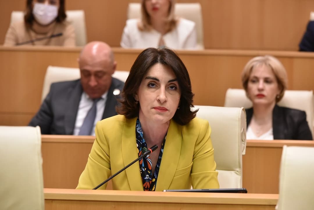 მაკა ბოჭორიშვილი – ევროკავშირის ქვეყნებში არიან ძალები, რომლებიც მხარს უჭერენ ევროკავშირის შემდგომ გაფართოებას და ამ კონტექსტში საქართველოს, უკრაინისა და მოლდოვას ევროპულ პერსპექტივას ერთგულად ლობირებენ