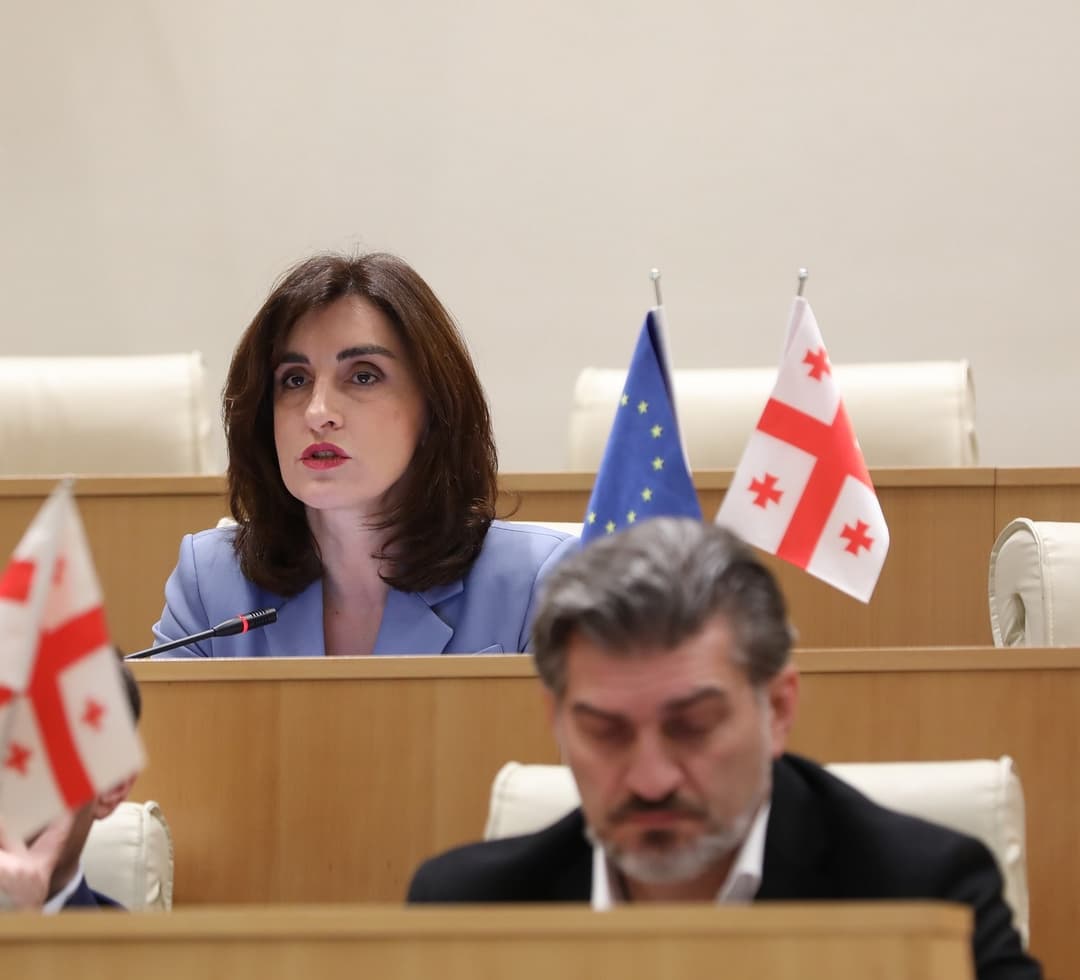 მაკა ბოჭორიშვილი – ვერანაირი შანტაჟის თუ დაშინების მექანიზმი ვერ დაუდგება წინ გამჭვირვალობის კანონის ამოქმედებას