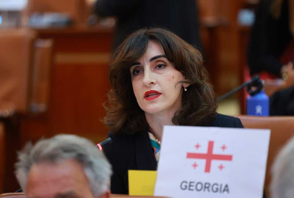 მაკა ბოჭორიშვილი – სამწუხაროდ, ხშირად ვხედავთ მცდელობებს, რომ ქართველი ხალხის და ხელისუფლების ნება ერთმანეთისგან გამიჯნულად წარმოჩნდეს