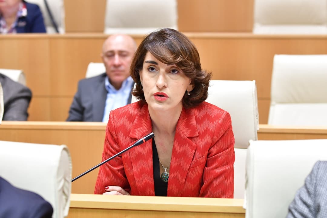 მაკა ბოჭორიშვილი – შეეშვით საქართველოს ევროკავშირში გაწევრიანების საკითხის ბრძოლის იარაღად გამოყენებას, ეს მხოლოდ აზიანებს ქვეყანას