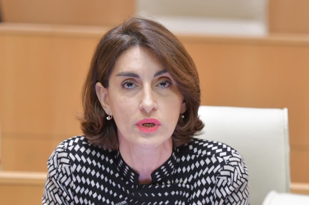 MP Botchorishvili states opposition harming Georgia’s strategic interests doomed to failure