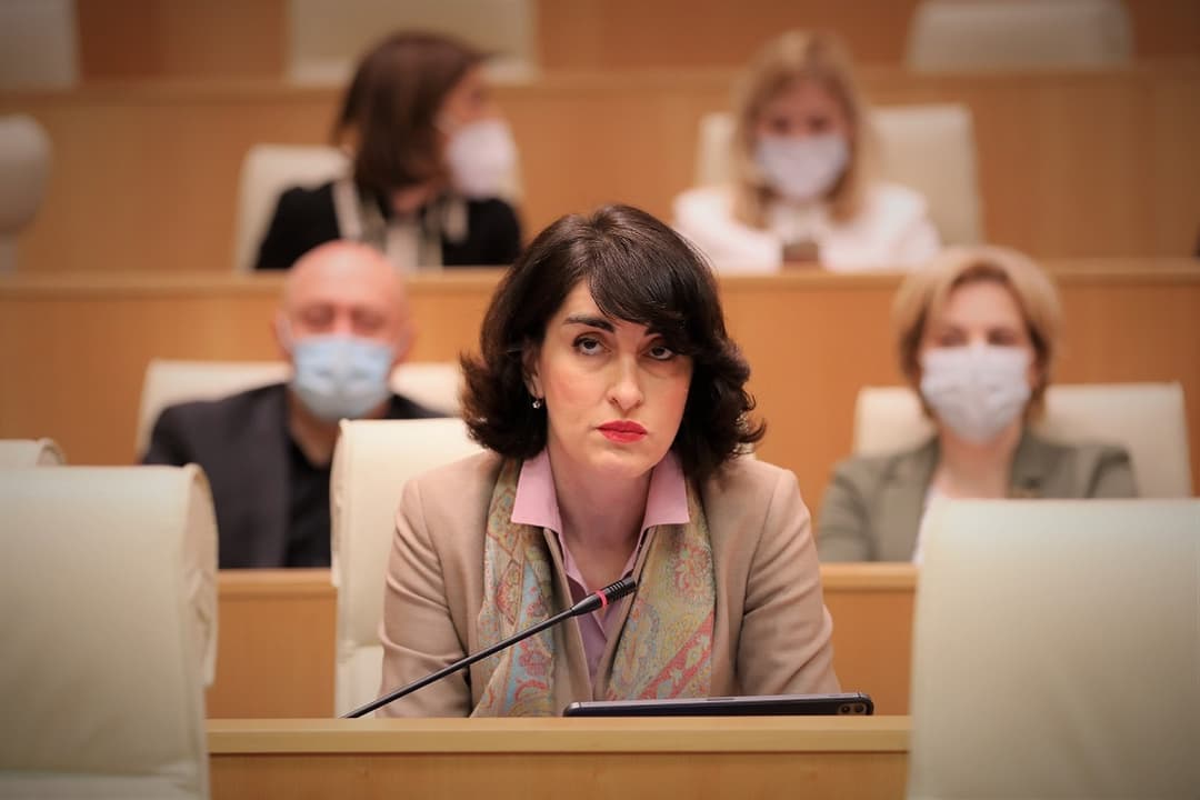 მაკა ბოჭორიშვილი რომან გოცირიძეს – საქართველოს 2008 წელს უნდა გაეკეთებინა განაცხადი ევროკავშირში გაწევრიანებაზე და რატომ არ გავაკეთეთ?