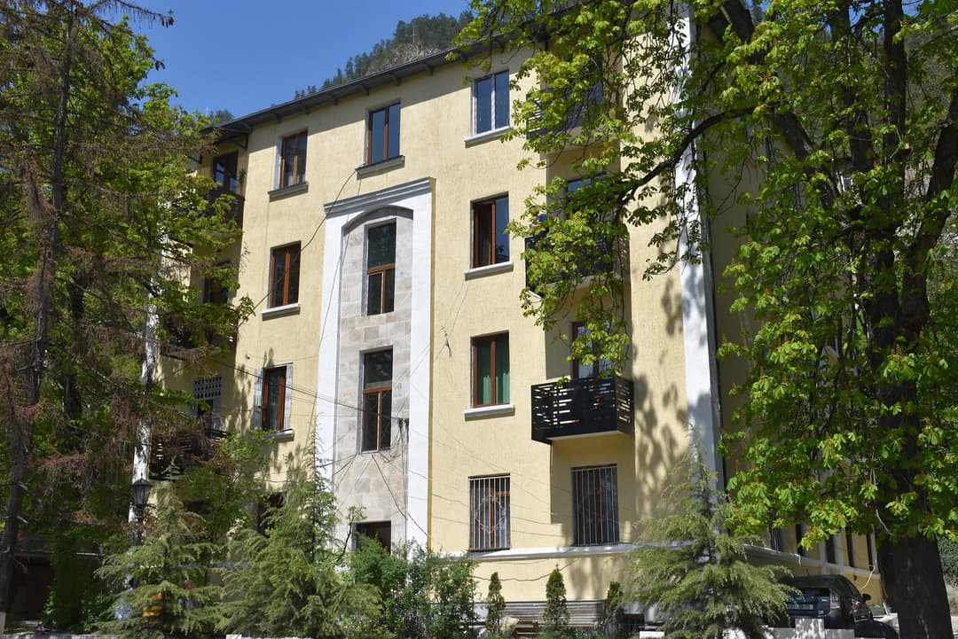 ბორჯომის მერმა მუნიციპალიტეტში მიმდინარე ინფრასტრუქტურული პროექტები დაათვალიერა