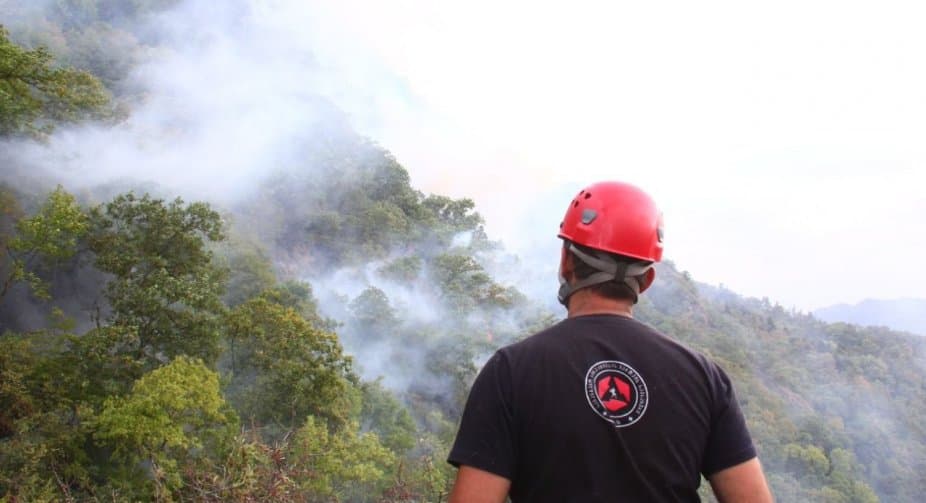 250 firefighters, 300 employees of Special Service Department on site to extinguish Borjomi fire