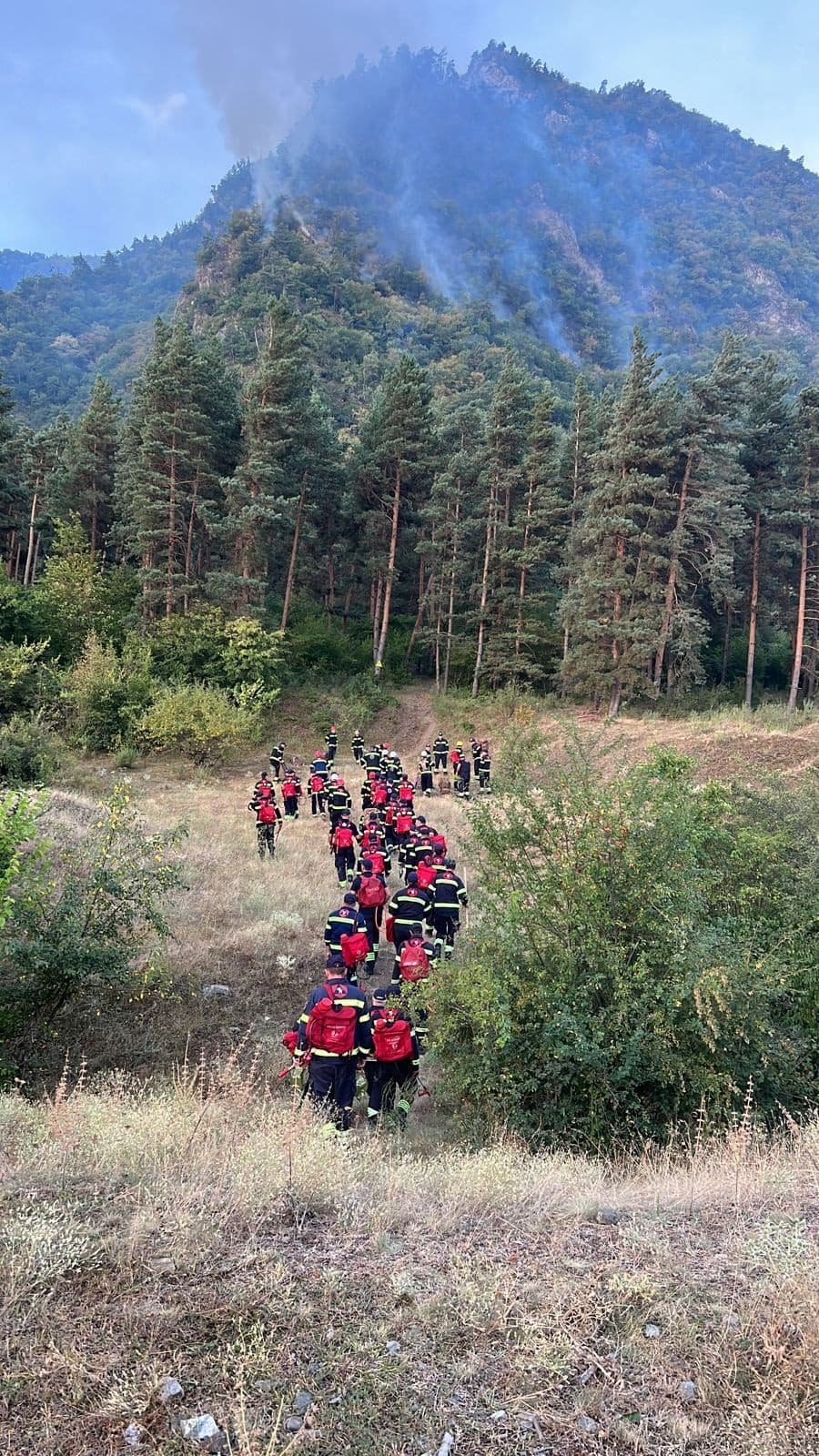 ბორჯომის მუნიციპალიტეტში ხანძრის ქრობის სამუშაოები უწყვეტ რეჟიმში მიმდინარეობს