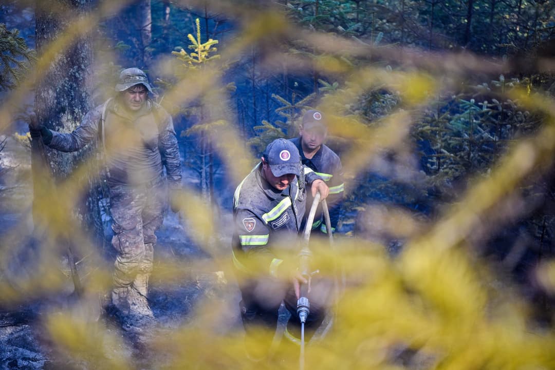 თემურ მღებრიშვილი – მაღალი ტემპერატურის და ქარის გამო გვაქვს ახალი ცხელი კერებიც