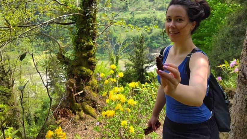 შანაი ბრუკის მკვლელობაში ბრალდებულს პატიმრობა შეეფარდა