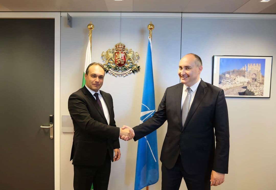 თავდაცვის მინისტრმა ბულგარელ და თურქ კოლეგებთან შავი ზღვის რეგიონის უსაფრთხოების საკითხები განიხილა