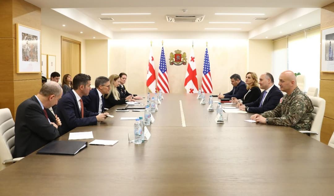 თავდაცვის მინისტრი აშშ-ის სახელმწიფო მდივნის მრჩეველს დერეკ შოლეს შეხვდა