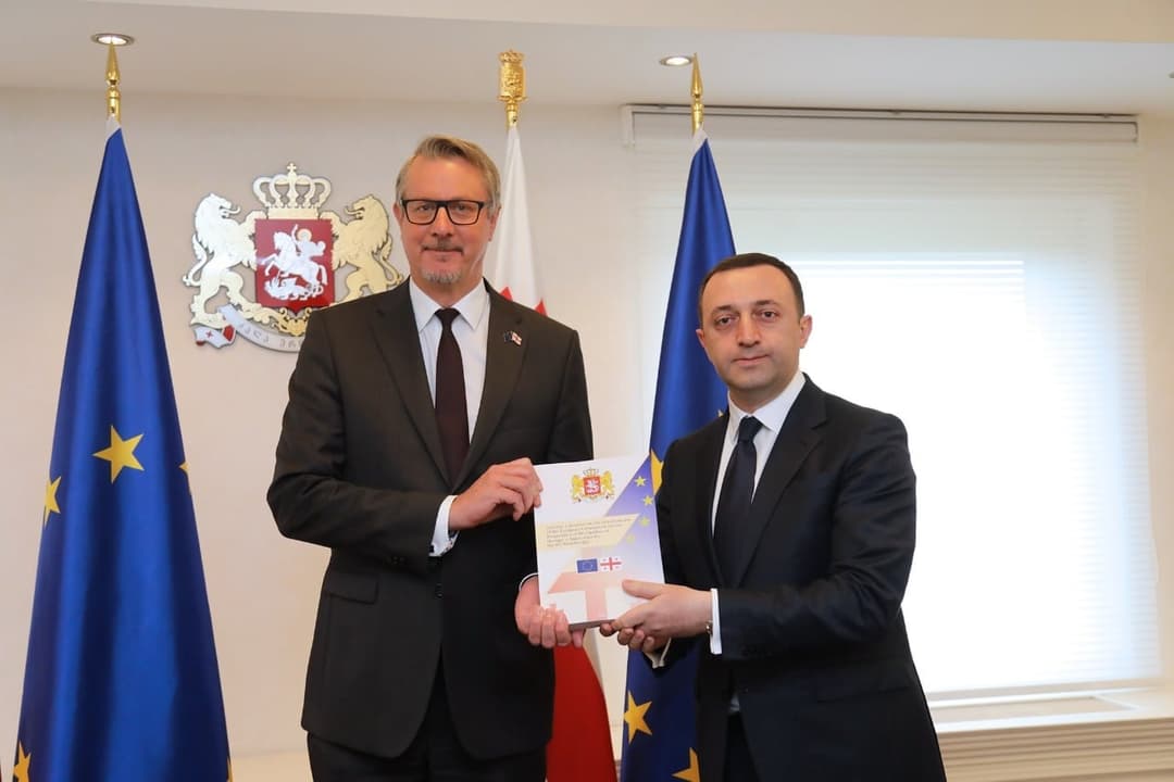 PM Garibashvili hands filled part of EU questionnaire to ambassador Hartzell