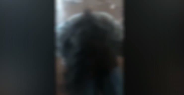 თანატოლ გოგონაზე ფიზიკური ძალადობის ფაქტზე გამოძიება დაიწყო