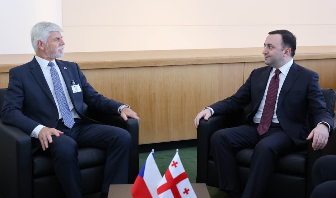 ირაკლი ღარიბაშვილი ჩეხეთის რესპუბლიკის პრეზიდენტს შეხვდა