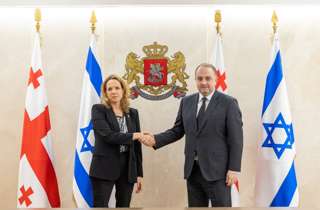 ირაკლი ჩიქოვანი ისრაელის ელჩს შეხვდა