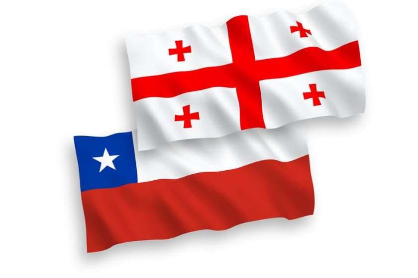 საქართველოს ოფიციალურმა დელეგაციამ ჩილეს ხელისუფლების წარმომადგენლებთან შეხვედრები გამართა