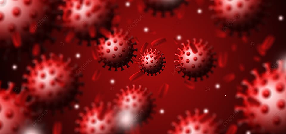 ინფიცირების 2 953 ახალი შემთხვევიდან 1 925 თბილისში გამოვლინდა