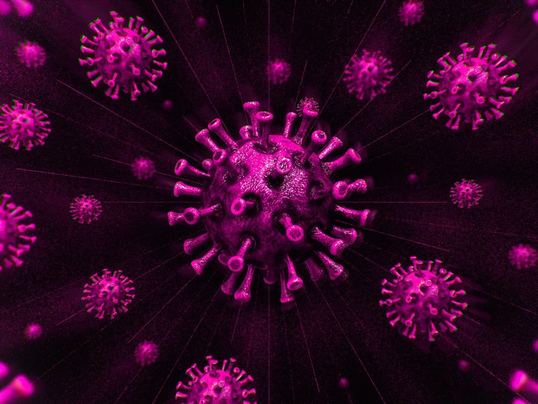 24 საათში საქართველოში კორონავირუსით 52 ადამიანი გარდაიცვალა