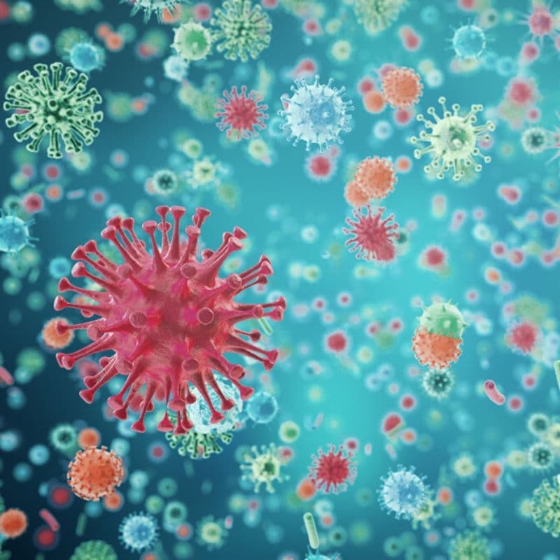 61 080 კოვიდინფიცირებულიდან საავადმყოფოებში 4 443 მკურნალობს