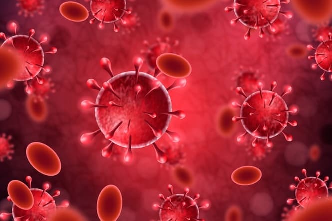 21 667კოვიდინფიცირებულიდან საავადმყოფოებში 4 446 მკურნალობს