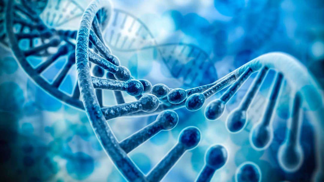 კორონავირუსის 2 164 ახალი შემთხვევიდან 1 074 თბილისში გამოვლინდა