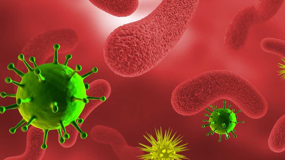 26 689 კოვიდინფიცირებულიდან საავადმყოფოებში 5 070 მკურნალობს