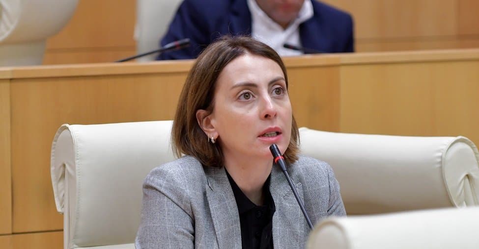 ხატია დეკანოიძე – არ გვაქვს არცერთი ნორმატიული აქტი, თუ როგორ უნდა აიკრძალოს სანქცირებული პროდუქცია საქართველოში