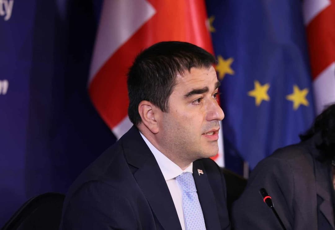 შალვა პაპუაშვილი – ჩვენ გვჭირდება, რომ არასამთავრობო ორგანიზაციები იყვნენ არა ჩასაფრებულები, არამედ ამ პროცესის გულშემატკივრები