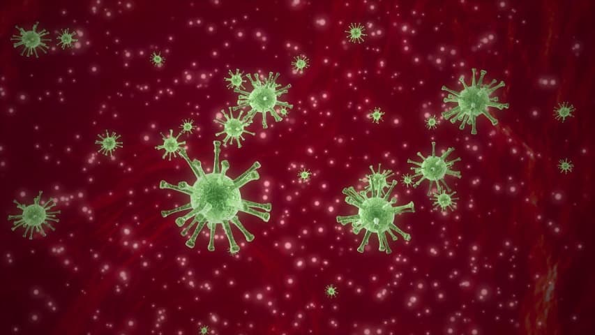 24 საათში საქართველოში კორონავირუსით კიდევ 52 ადამიანი გარდაიცვალა