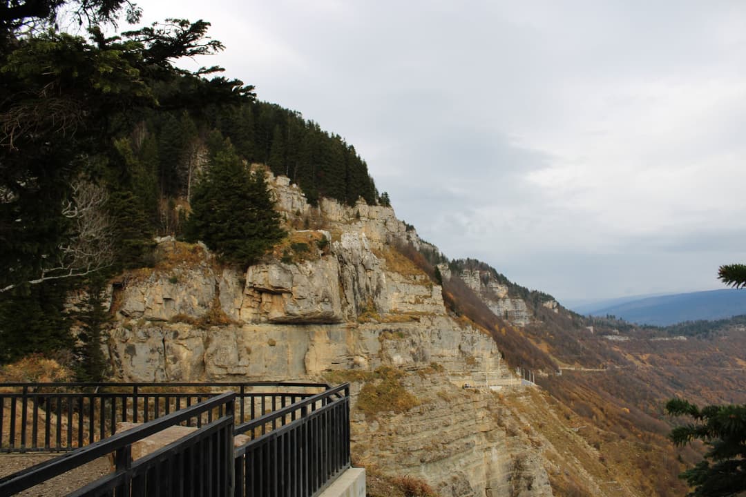“ცხრაჯვარზე” პირველი თანამედროვე ტიპის და მაღალი სტანდარტებით აღჭურვილი კომპლექსი განთავსდება