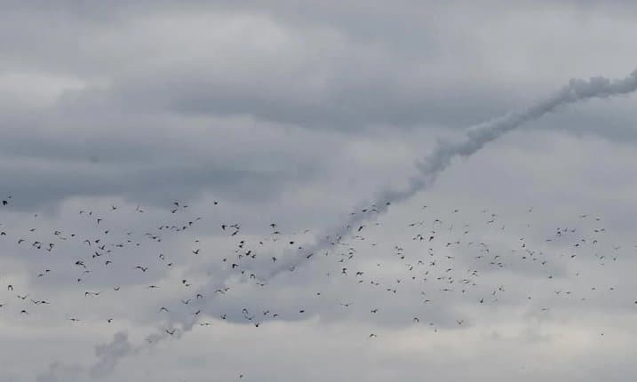 ოკუპანტებმა ოდესის ოლქში სასოფლო-სამეურნეო საწარმოზე ავიადარტყმა განახორციელეს