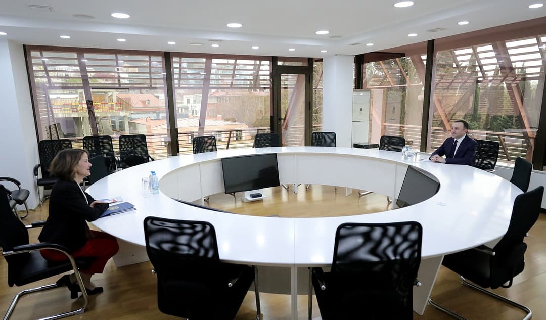 ირაკლი ღარიბაშვილი რობინ დანიგანს შეხვდა