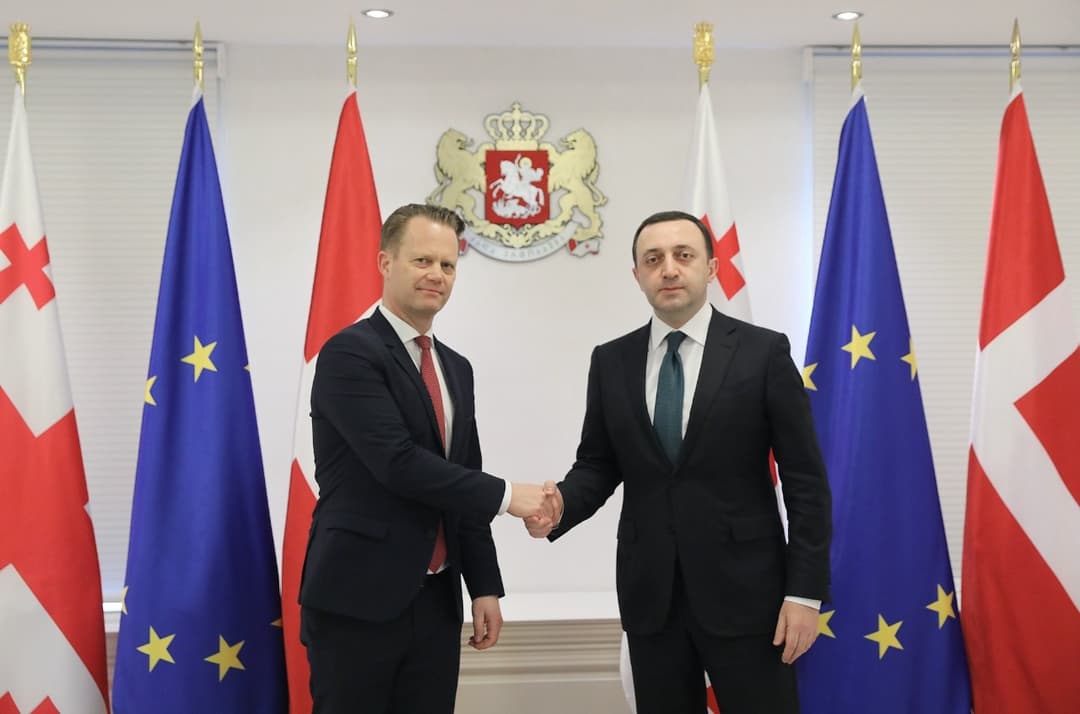 პრემიერ-მინისტრი დანიის სამეფოს საგარეო საქმეთა მინისტრს შეხვდა