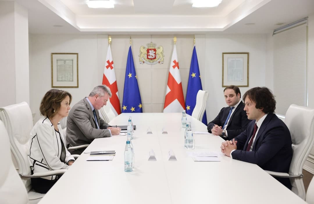 Georgian PM expresses concern over US sanctions in meeting with ambassador