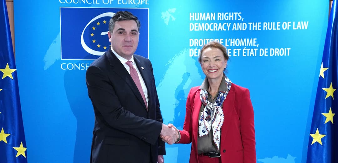 ილია დარჩიაშვილი ევროპის საბჭოს გენერალურ მდივანს შეხვდა