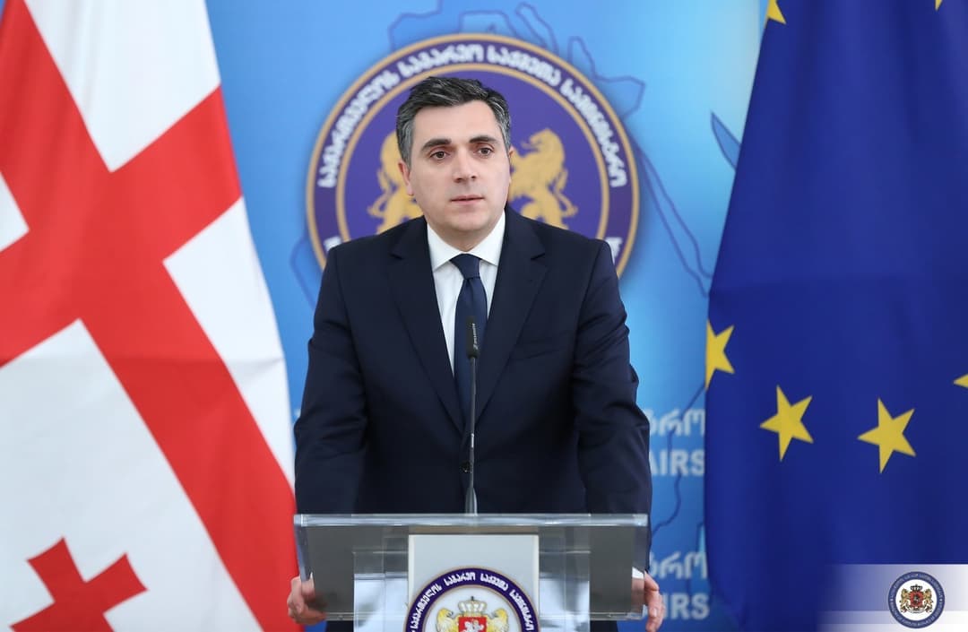 Georgian completes 1st part of EU membership questionnaire