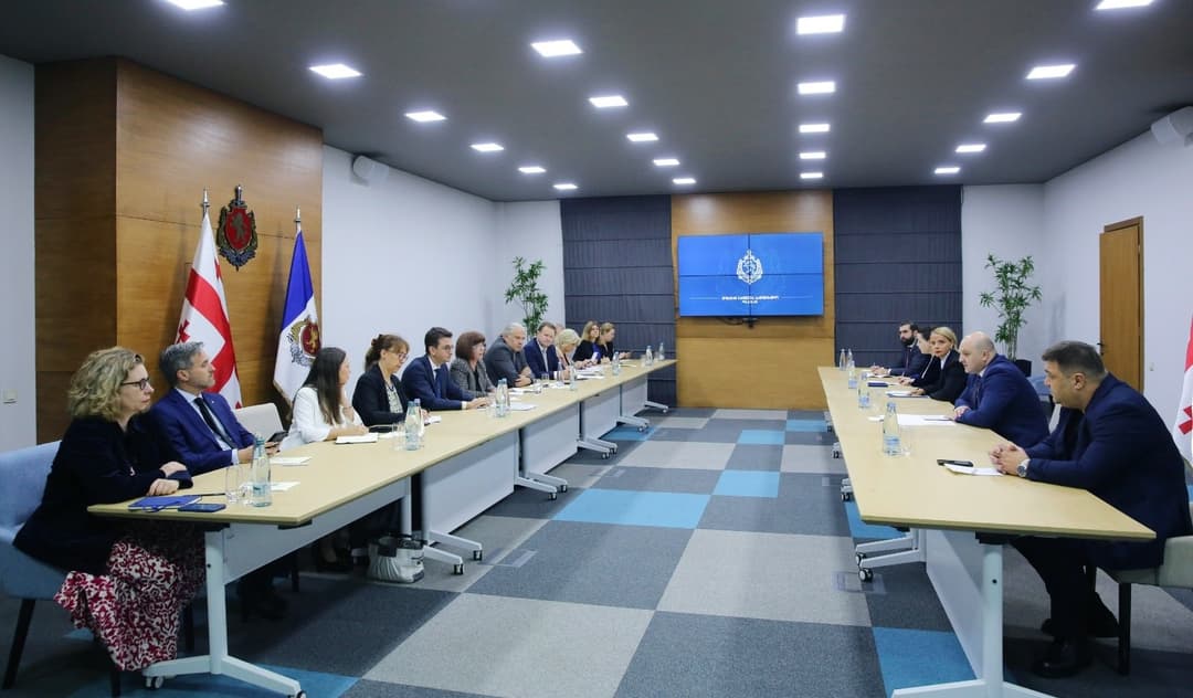 შს მინისტრის მოადგილე ევროპის საბჭოს საპარლამენტო ასამბლეის წარმომადგენლებს შეხვდა