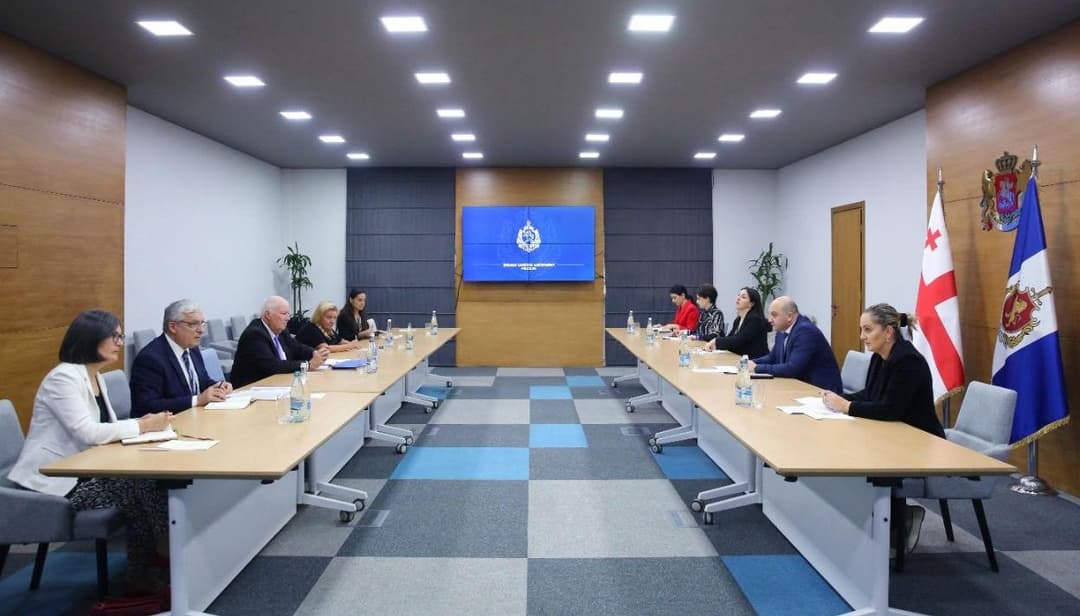 ალექსანდრე დარახველიძე შემწყნარებლობისა და დისკრიმინაციასთან ბრძოლის საკითხებში ეუთო-ს თავმჯდომარეობის პირად წარმომადგენლებს შეხვდა