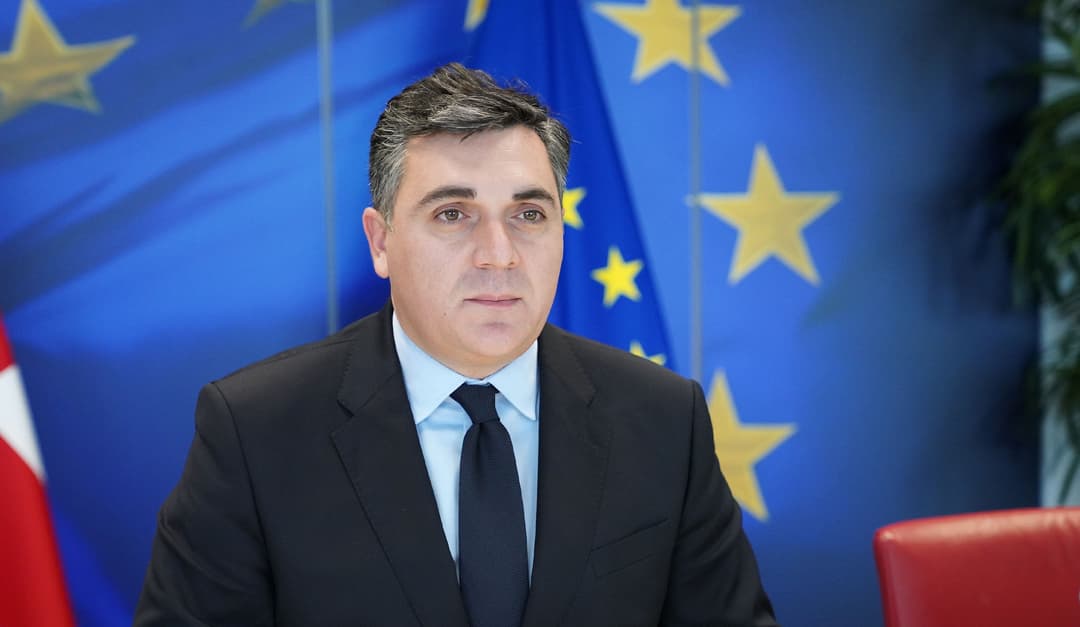 ილია დარჩიაშვილი – ხელისუფლება მობილიზებულია, რომ ევროკავშირში გაწევრიანების გზაზე უფრო მეტ პროგრესს მიაღწიოს