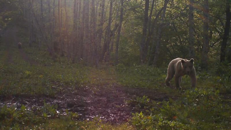 Frontnews image description