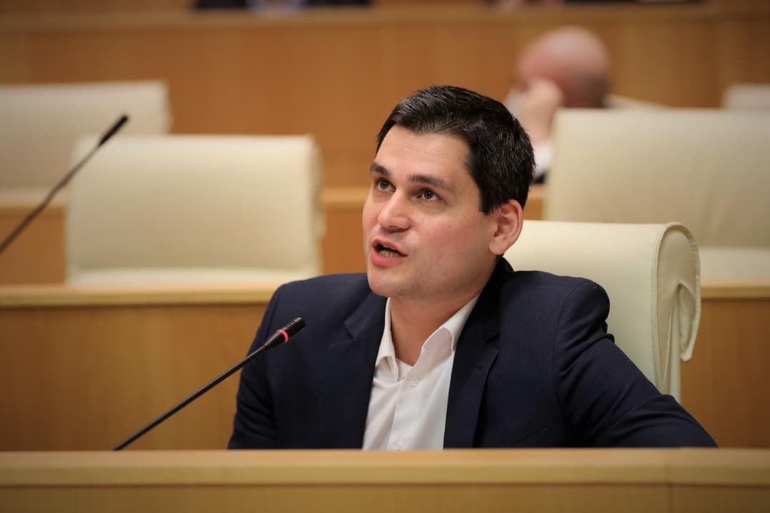 მიხეილ დაუშვილი – ვფიქრობთ, ყველაზე პრაგმატული და შედეგიანი იქნება, რომ არჩევნებზე დამოუკიდებლად გავიდეთ