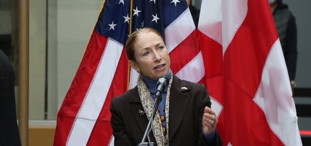 კელი დეგნანი – ჩემი აზრით, საქართველოს ეს კანონი არ სჭირდება