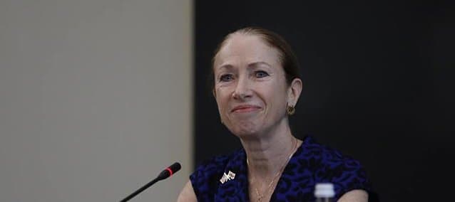 EU candidacy reforms for Georgia, not for bloc – outgoing US Ambassador