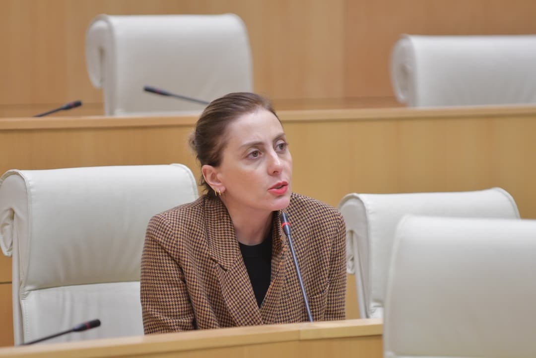 ხატია დეკანოიძე – ვიქნები იქ, სადაც არ არის ჩრდილოვანი გავლენა და პოლიტიკური კორუფცია