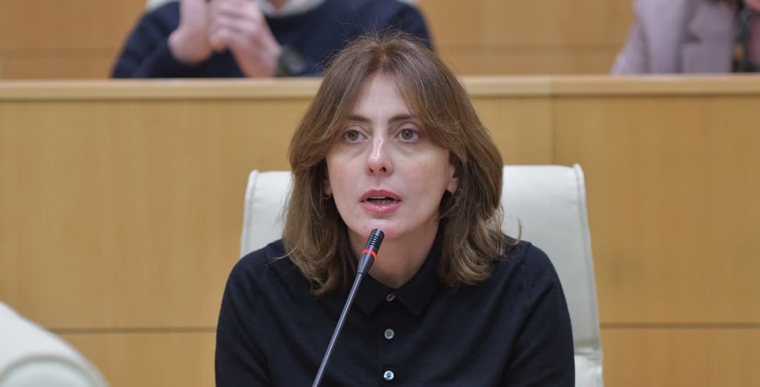 ხატია დეკანოიძე – ეს აქცია კიდევ ერთი მცდელობაა საზოგადოების დახლეჩვის და დაპირისპირების, რაც პრინციპში, უნდა “ქართულ ოცნებას”