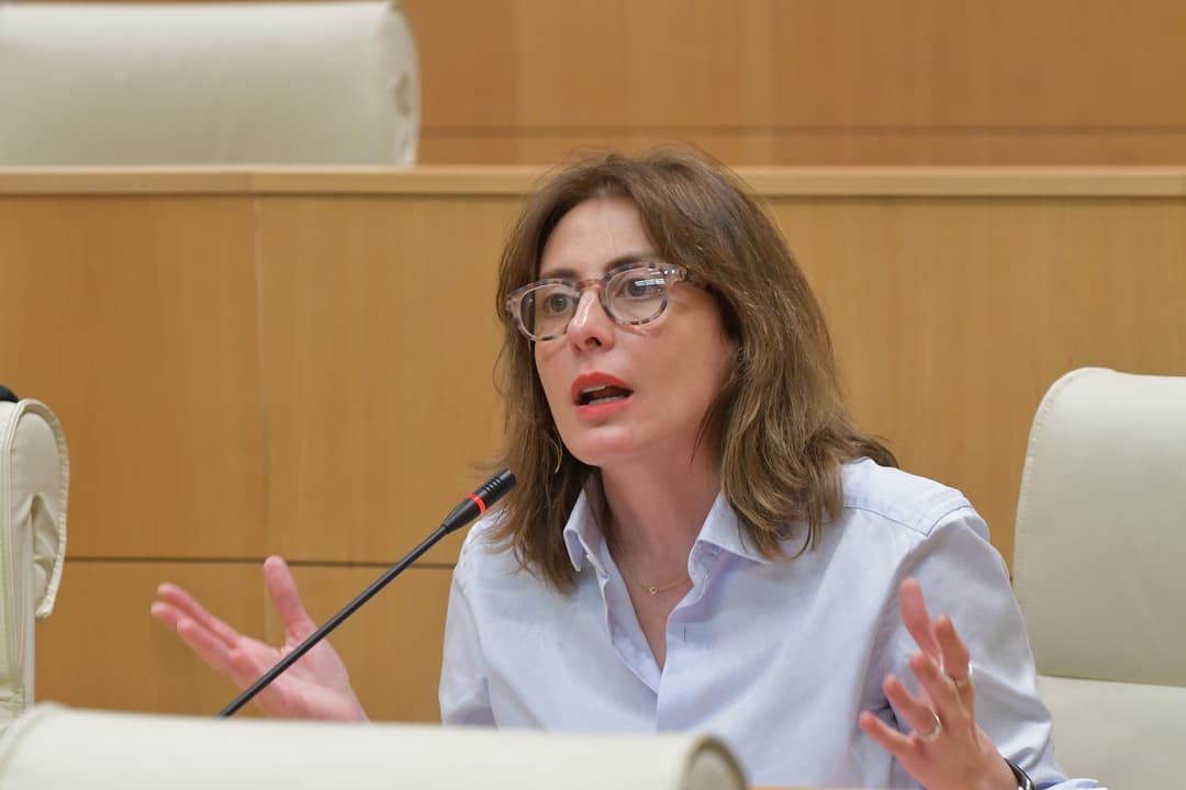 ხატია დეკანოიძე – ყველა ამბობს მხოლოდ ერთს – ამ ორი კანონპროექტის განხილვაც კი დაგვაზიანებს