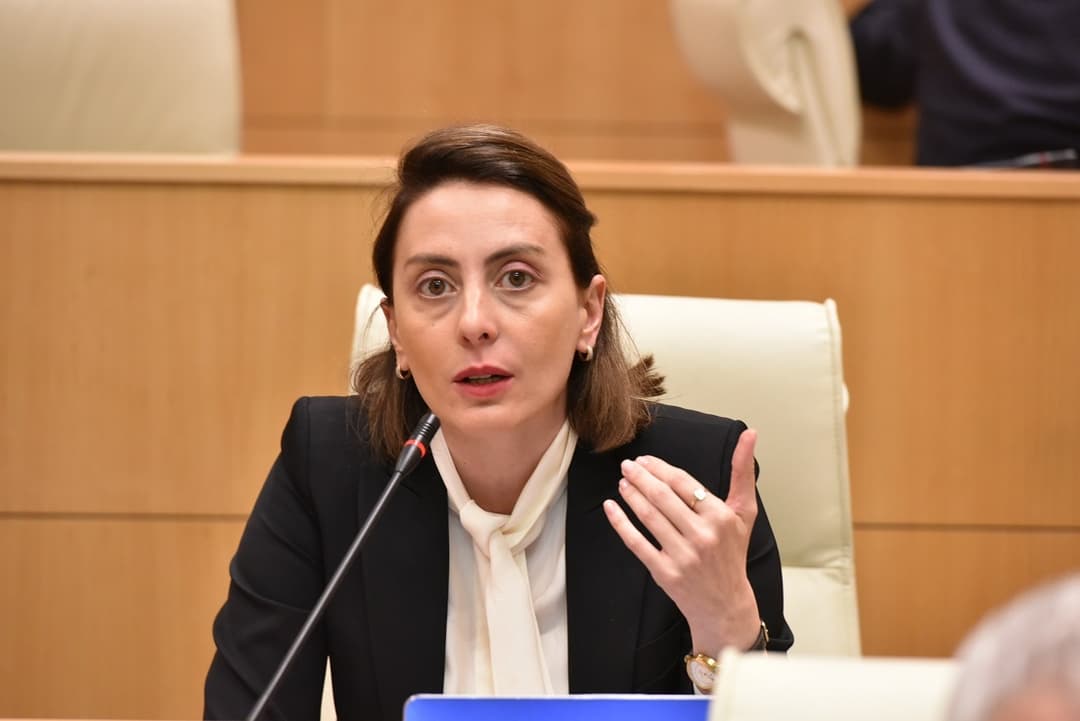 ხატია დეკანოიძე – დოკუმენტი ნიკა ობოლაძემ შემთხვევით გადაუგზავნა ჩვენს ერთ-ერთ თანამშრომელს