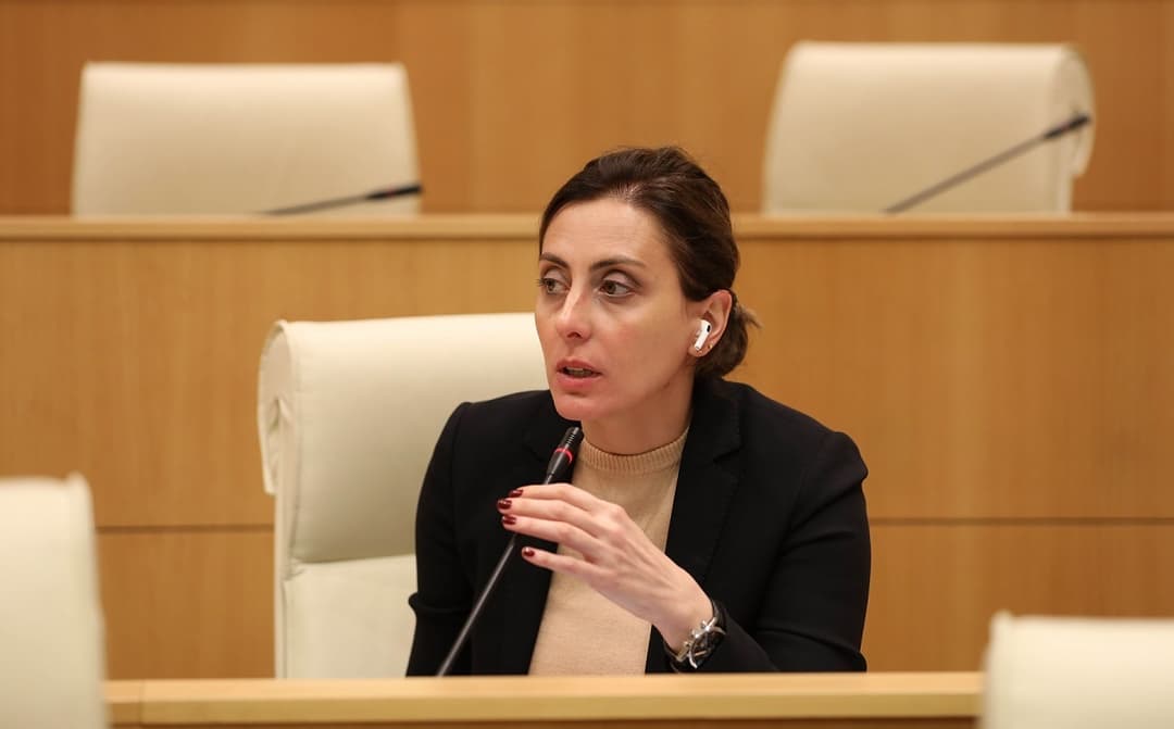 ხატია დეკანოიძე – საქართველოს ვიზალიბერალიზაცია, ჩვენი მოქალაქეების და ჩვენი ქვეყნის კიდევ ერთი მიღწევა, შეიძლება დადგეს საფრთხის ქვეშ