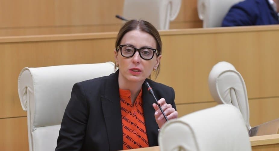 ხატია დეკანოიძე – ჩემი ძალიან დიდი შეშფოთების საგანია, საქართველოს ხელისუფლების დამოკიდებულება უკრაინის ხელისუფლებისადმი